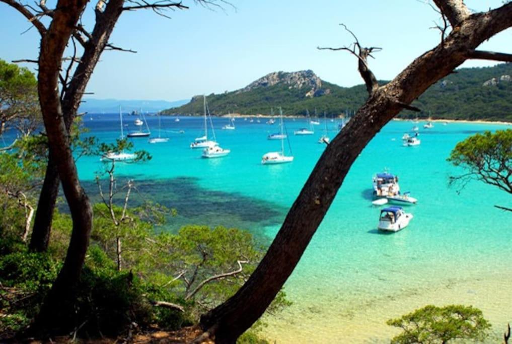 Villa Saint-Come, Du Grand Luxe A 1 Min De La Mer Hyères Buitenkant foto